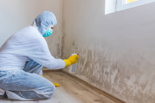 Licensed Commercial Mold Remediation service in New Brunswick, NJ - WQB Mold Removal