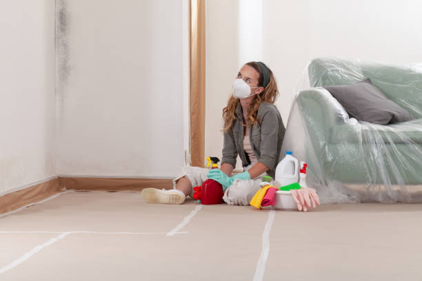 Reliable Commercial Mold Remediation contractor in New Brunswick, NJ by WQB Mold Removal